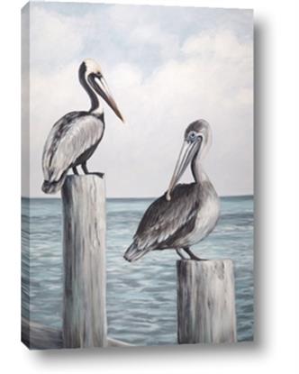 Image de Observing Pelicans