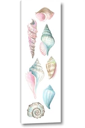 Picture of Sea Shells Pastel