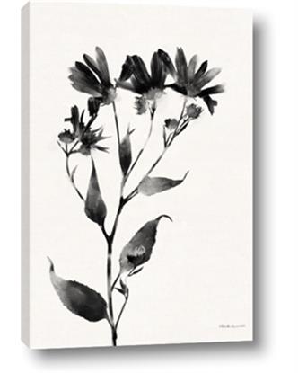 Image de Black flower II (Ink border black )