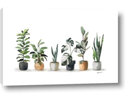 Image de Pots with plants